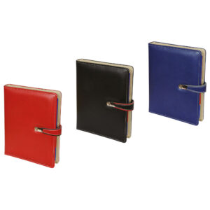 termo deri organizer