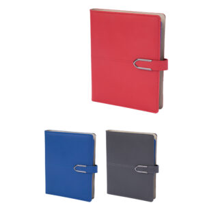 termo deri organizer