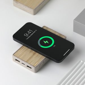 bambu powerbank